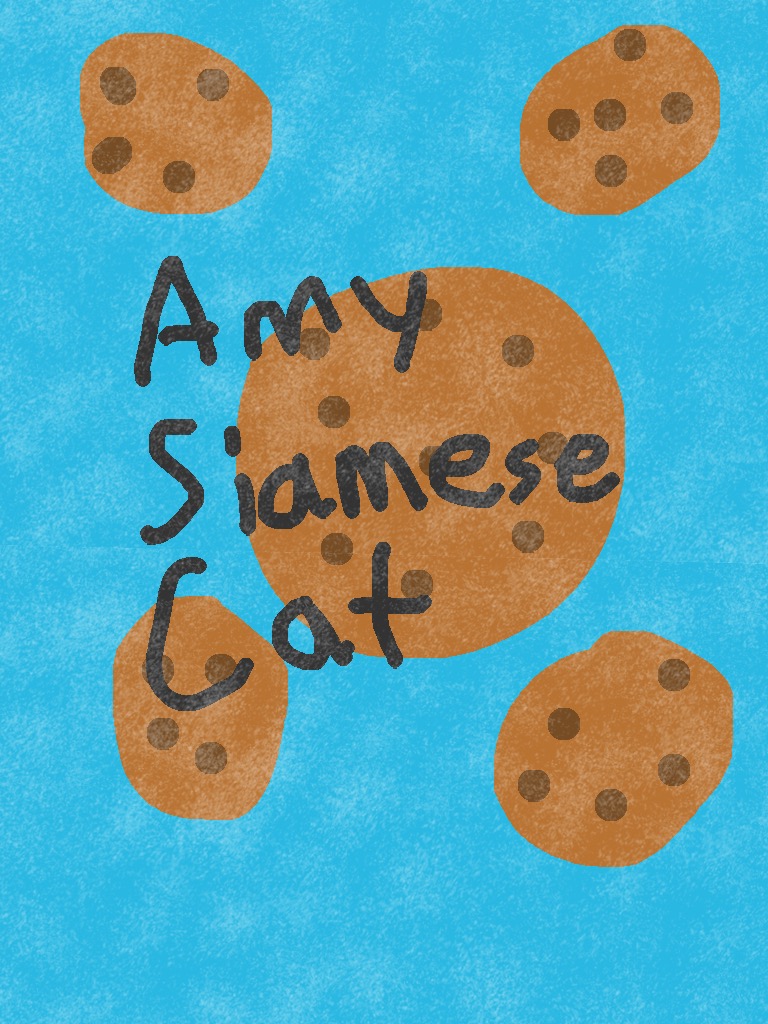 Amy Siamesecat Blog